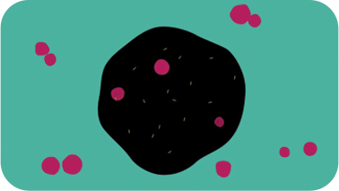 Video about Alpha-Mannosidosis